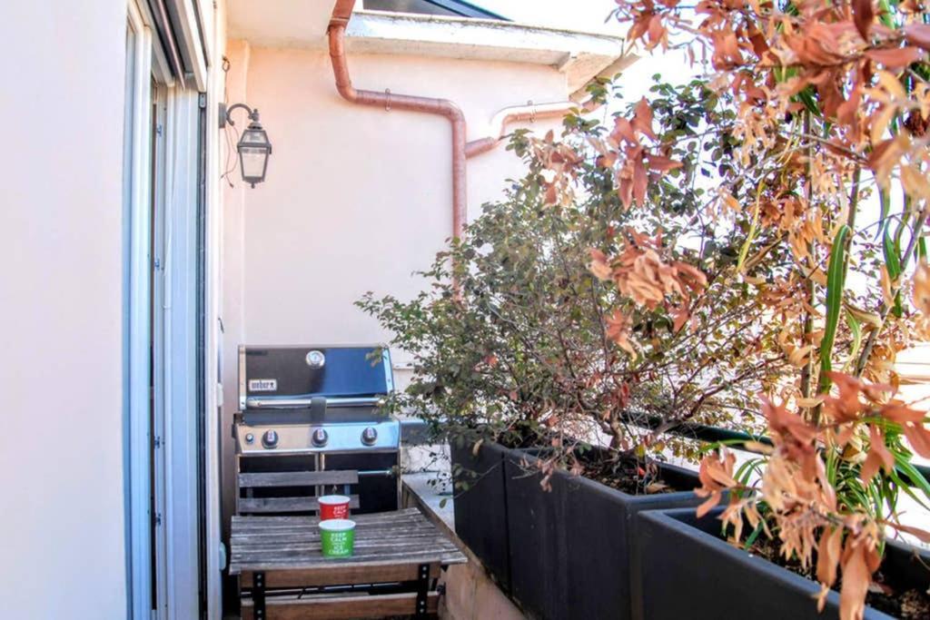 A Terrific Terrace Penthouse Appartement *